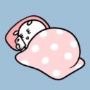 세인트가든 이미지