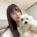 대전 붙임머리전문가에게 : 미람헤어 명석 원장님 슬림땋기 시술후기 1mm♥️