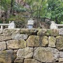 김삿갓초장 이미지