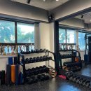 뉴욕피티 이미지