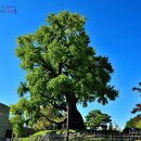 고성군청 이미지