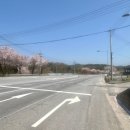 금성보건지소 이미지