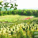 신기수목장 이미지