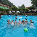 위너 태권도 이미지