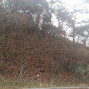 순천만공인중개사사무소 이미지