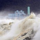 한솥도시락 신월성점 이미지