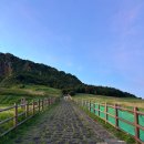 송우펜션 | 성산일출봉에서 일출보기 / 우도여행 / 우도 &#39;송우네펜션&#39; / 하고수동해수욕장 스노쿨링 / 회양과국수군