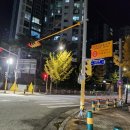 이선생도시어장