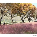 풍경이 머무는 곳 이미지