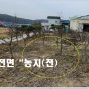 여주-0131 이미지