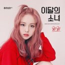 비비헤어(vivi)