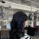 히피살롱 이미지