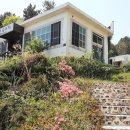 남해칼국수