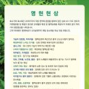 명현 이미지