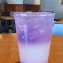 블라썸티 이미지