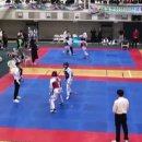 용인대예당태권도 이미지