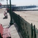 하이브리 이미지