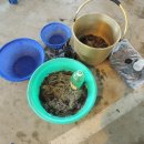 장천시장 이미지