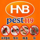 효도방역
