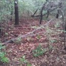 지종농장 이미지