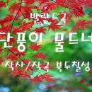 물드네 이미지