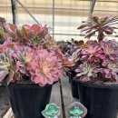 이정농장 이미지