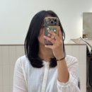 아르보스튜디오