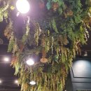 (주)비터스윗코리아 이미지