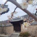 청주(서울) 이미지