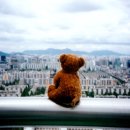 생각하는곰