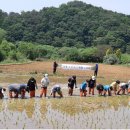 문경 동로초등학교 문경매일신문