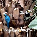 낙동강변로4-28 | 가평 가볼만한곳 추천｜베고니아새정원 실내정원 후기·할인정보
