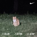 파스타빌런인천 - 남동구 예술로226번길 18 | 2026.05. 기록 - 2편