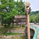 화이트캐슬평창 | 평창여행 발왕산 케이블카 스카이워크 할인 평창 가볼만한곳