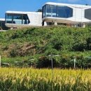 거제스페이스펜션 | 거제스페이스펜션 애견동반펜션 첫 반려견 여행의 모든 것