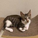 UR(파주시)-[책향기로]-하-17 | Oct 2021. Monthly Log