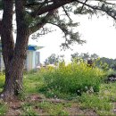 산방산온천게스트하우스 이미지