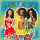 fiesta 이미지
