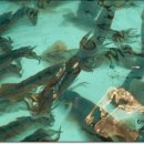 무릉회관 이미지