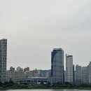 호수공원 호수광장 | 광교호수공원 잔디광장 피크닉 명소 후기