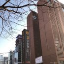 서울 커플마사지 가성비 강남놀거리 서울스파 후기