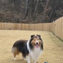 까사드만수 이미지