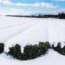 문화예술마을 저지리 농어촌체험마을 이미지