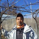 김동춘농장 Daum카페