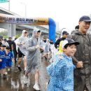 KB손해보험