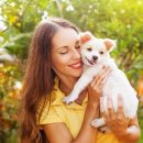 용산동물의료센터 이미지