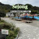 다온숲 | 대전 근교 글램핑 추천 &lt;세종 다온숲&gt; B동 내돈내산 방문 후기