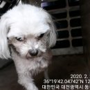 골든벨노래연습장 이미지