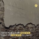 프렉클컴퍼니 네이버블로그