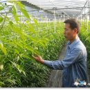 위경화농장 이미지